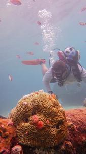 Research team diving during sampling off the island of Curaçao (Caribbean Sea).