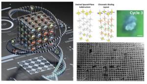 DNA 3D Material Compiled