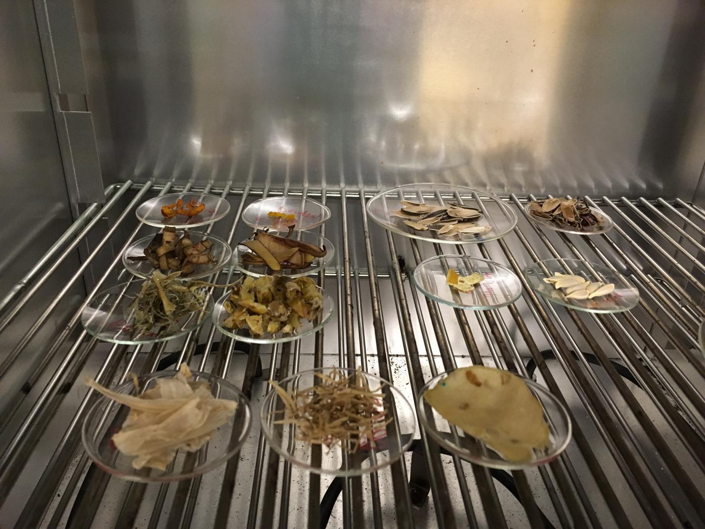Samet Peels in Oven
