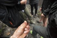 Costa Rica Volcano/Microbe Research