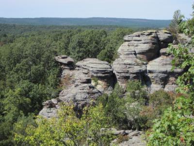 How Vulnerable Is the Central Hardwoods Region to Climate Change?