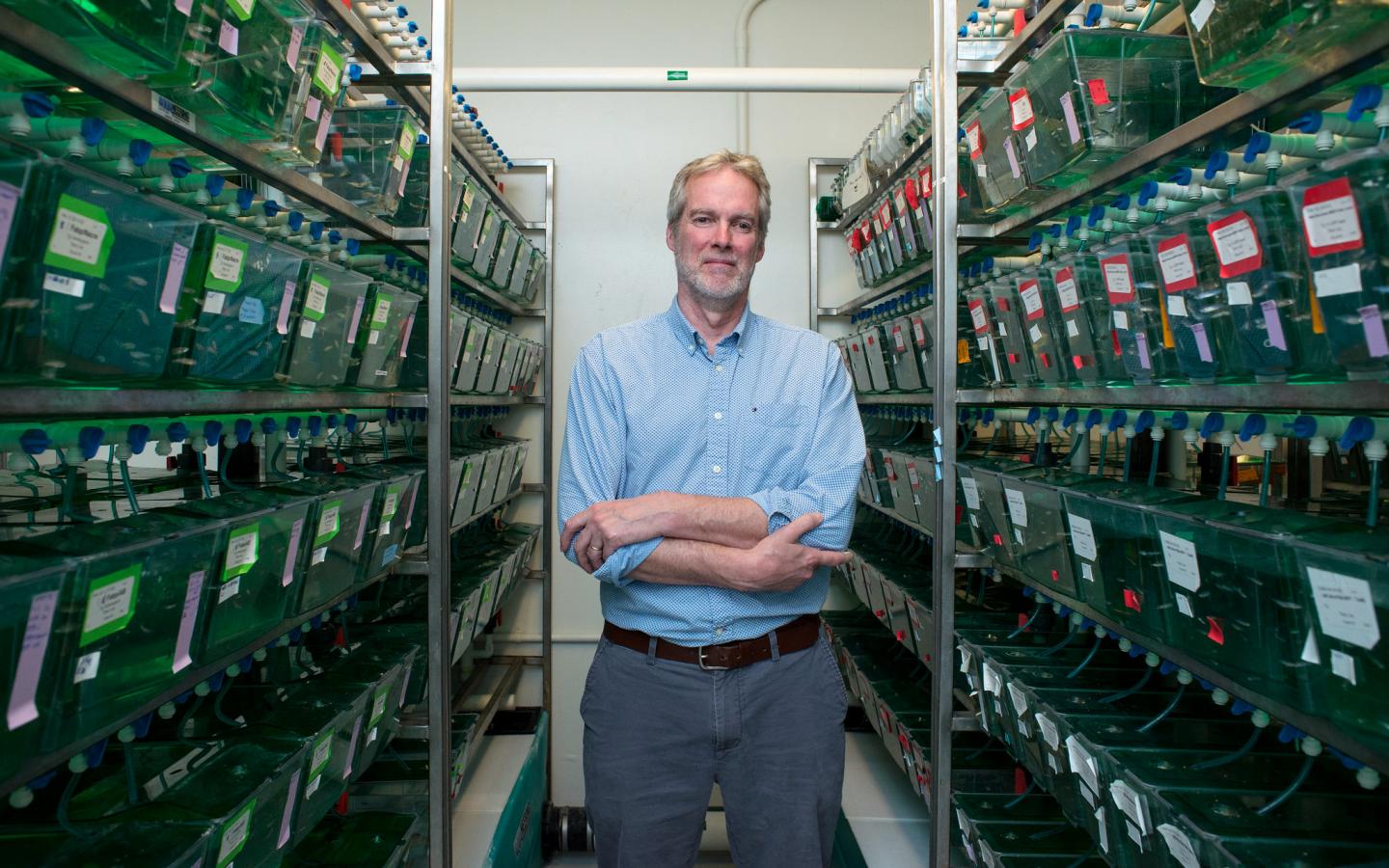 Iain Drummond, Ph.D. with zebrafish
