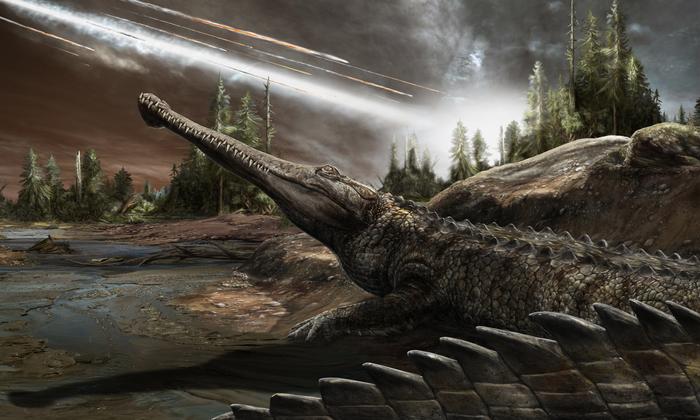 Crocodilian surviving dinosaur extinction
