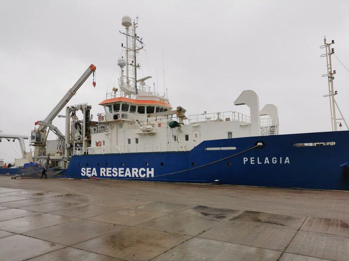 Pelagia