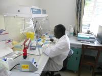 Labwork