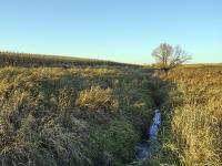 Stream