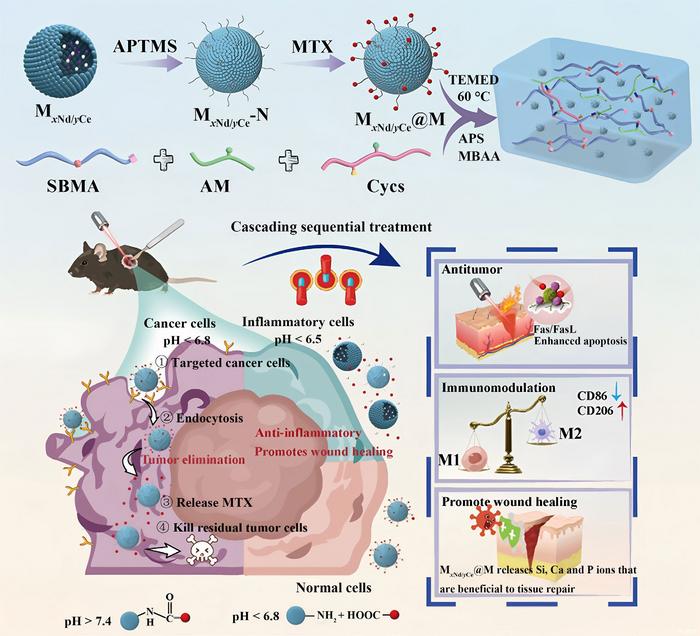 Preparation process and potential therapeutic mechanism of the hydrogel wound patch