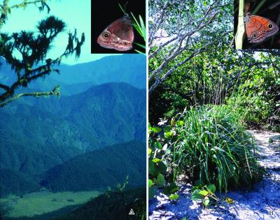 Habitat Diversity