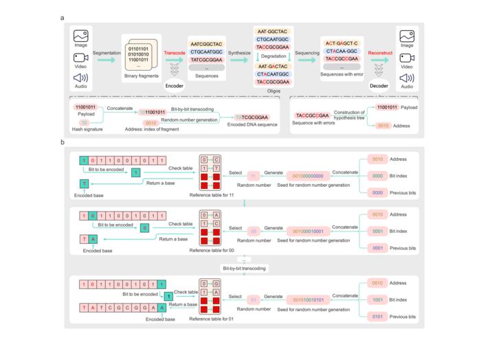 encoding algorithm