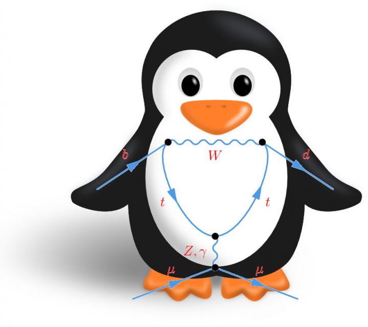 Penguin Illustration