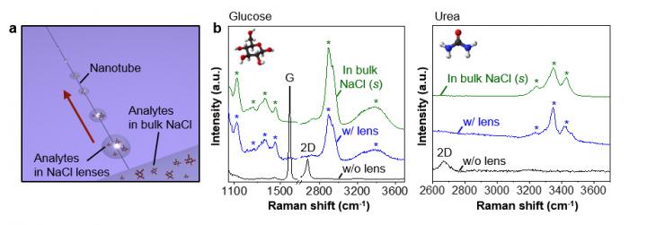 Use of the Salt Micro/nanolens