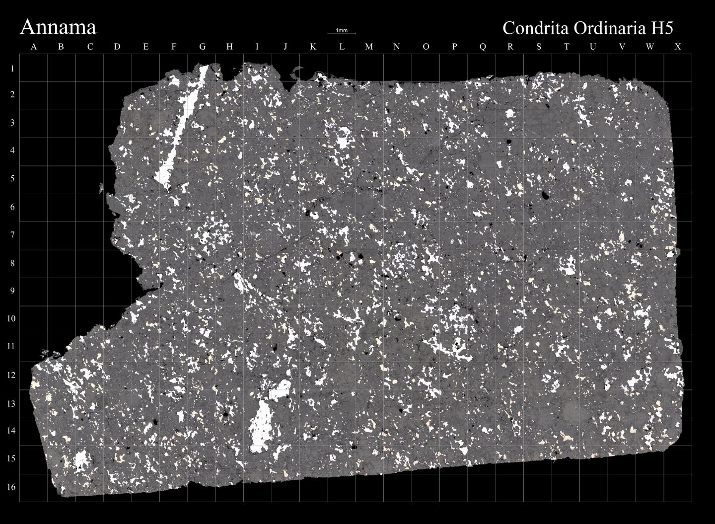 Annama Meteorite