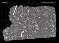 Annama Meteorite