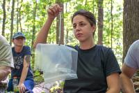 University of Tennessee Student Examines a Salamander