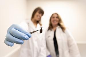 Chagas disease