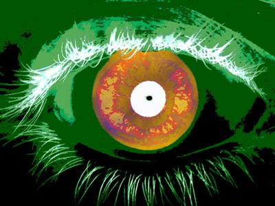 Iris Recognition Report Evaluates 'Needle in Haystack' Search Capability