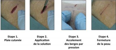 Illustration of the First Experiment Conducted by the Researchers on Rats