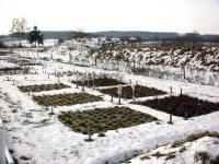 Climate Change Enhances Grassland Productivity (2 of 2)