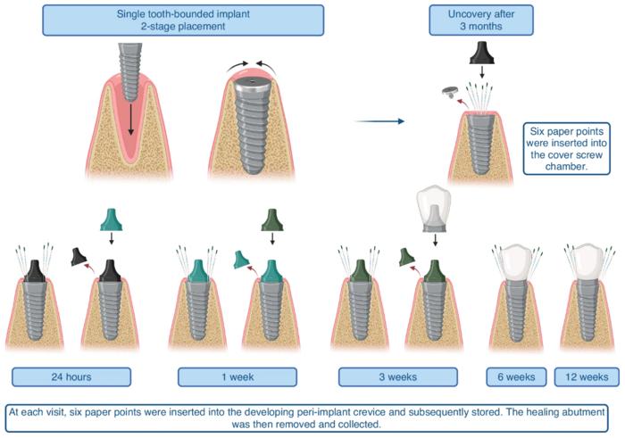 Clinical study design.