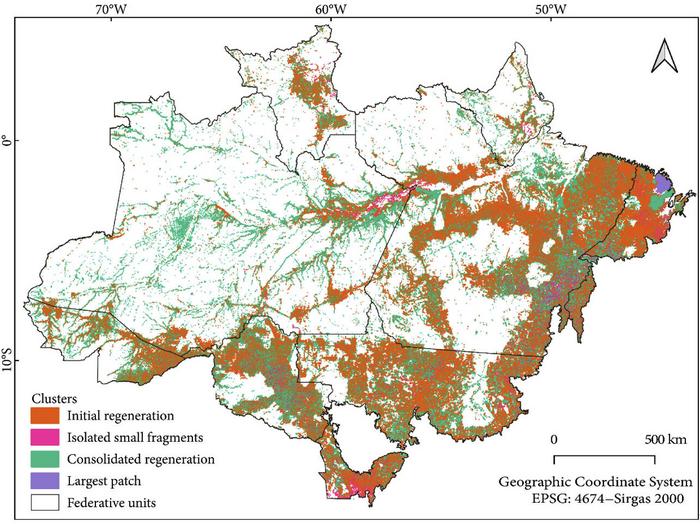 Spatial distribution of K-Means-derived clusters of SV polygons across the Amazon biome.