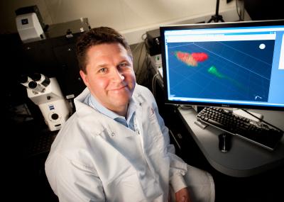 David Solecki, Ph.D., St. Jude Children's Research Hospital