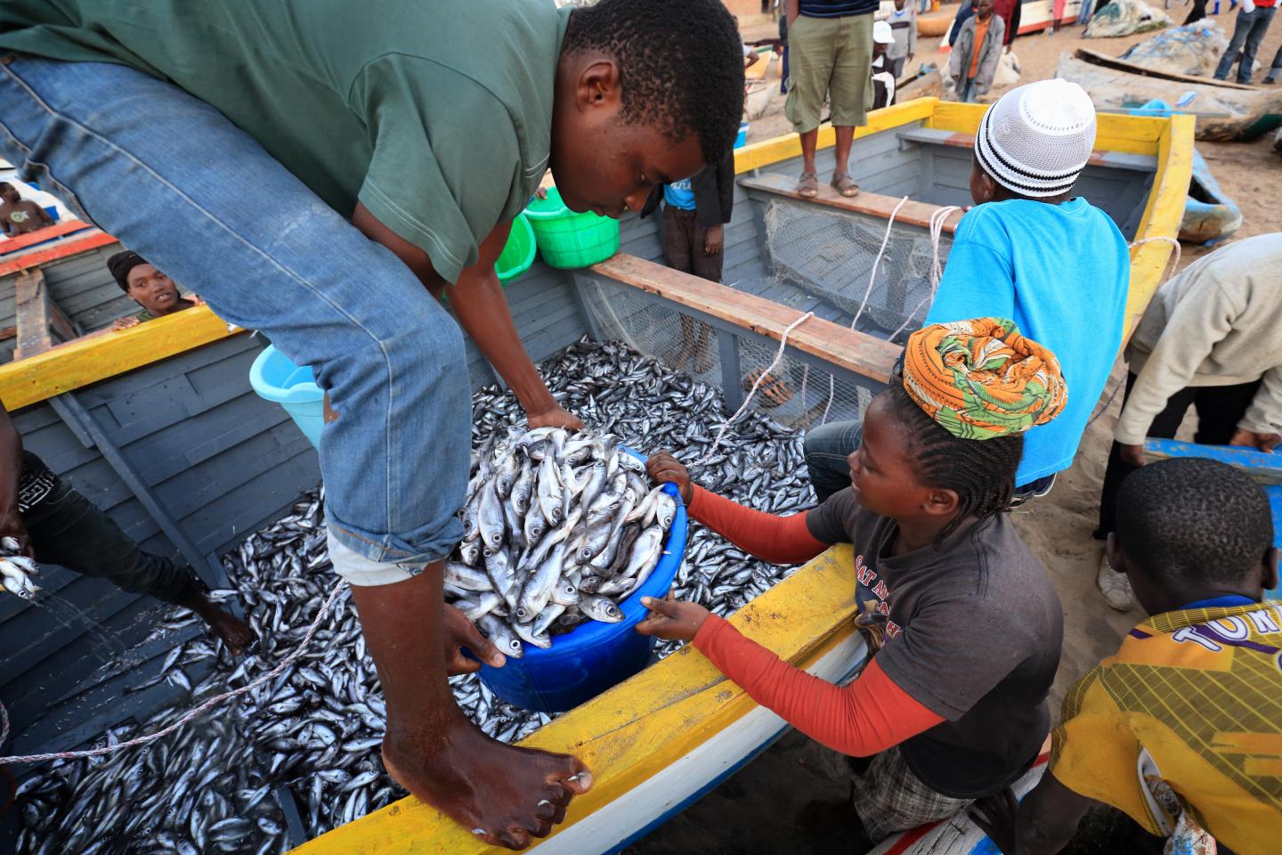 Unidentified Fishermen and Market Women Trading Fish