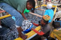 Unidentified Fishermen and Market Women Trading Fish