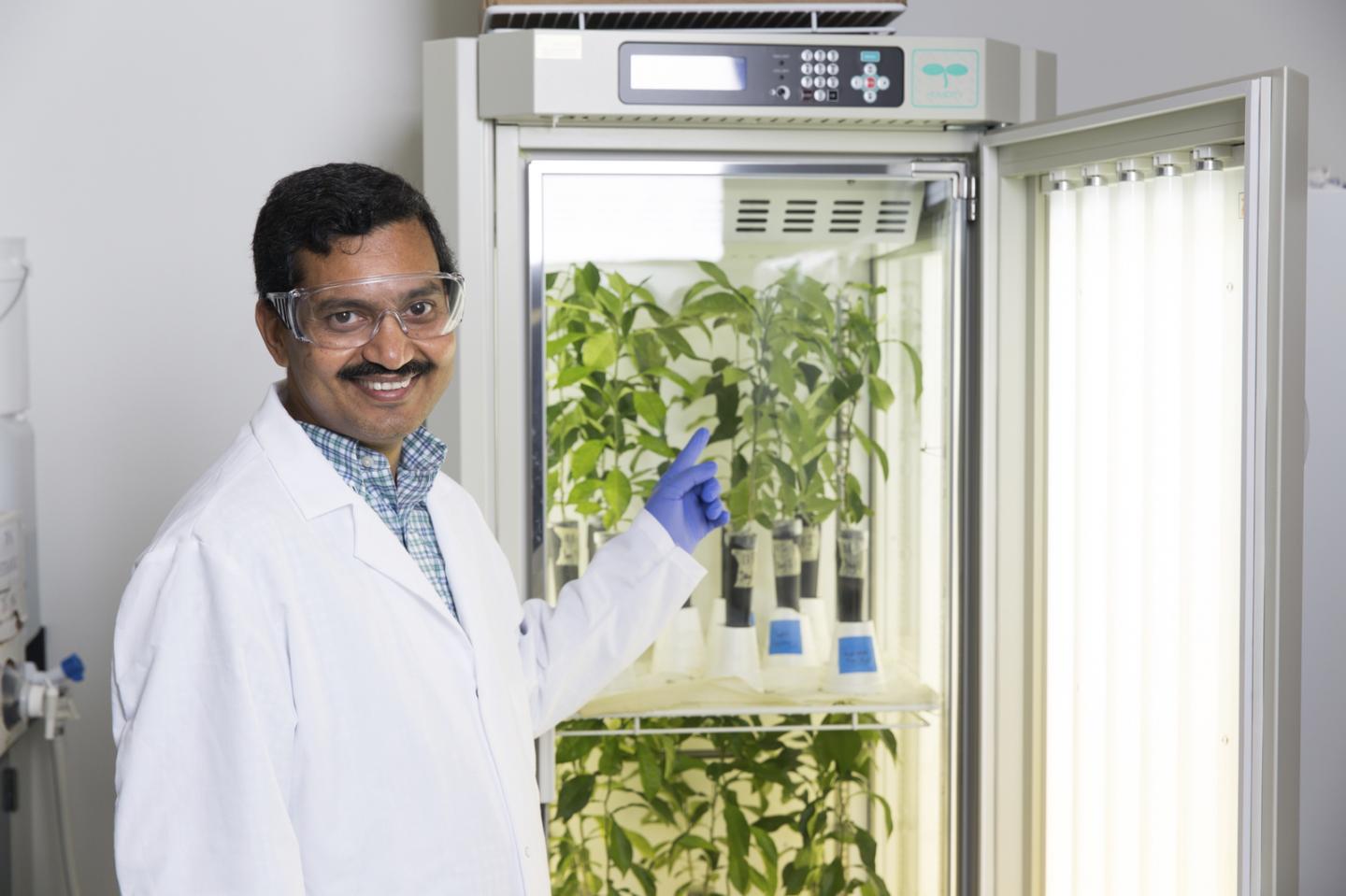 Swadeshmukul Santra, University of Central Florida