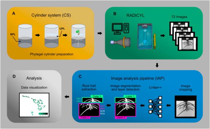 Figure 1. Overview of the RootXplorer platform.