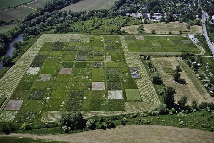 Jena Experiment