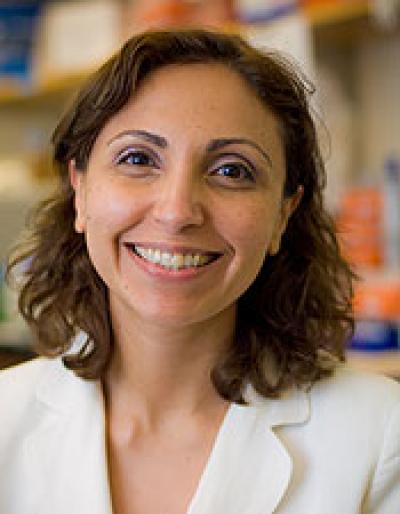 Irene Ghobrial, M.D., Dana-Farber Cancer Institute