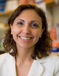 Irene Ghobrial, M.D., Dana-Farber Cancer Institute