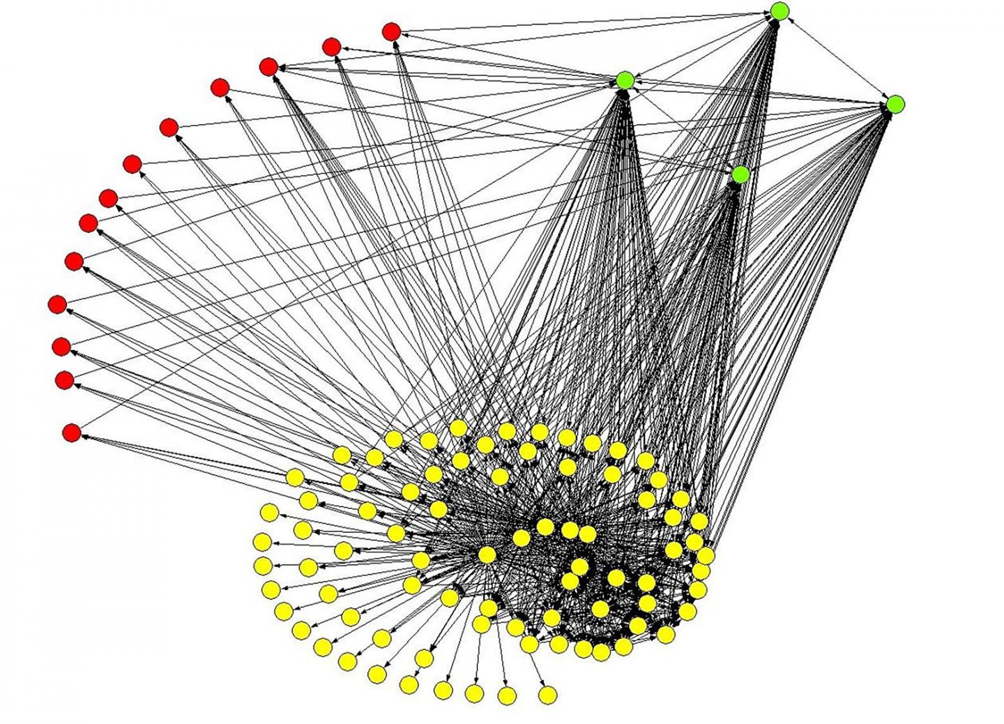 Virus Networks