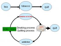 tobacco mechanism of action A new effective strategy for treating tobacco addiction was developed by  researchers from the CAS