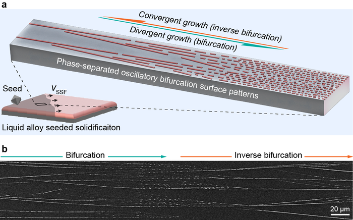 Surface patterning