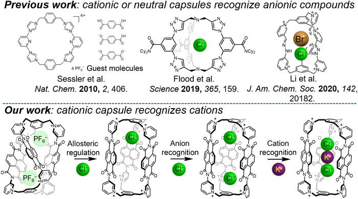 Efficient Cation Recognition Strategies for Cationic Compounds