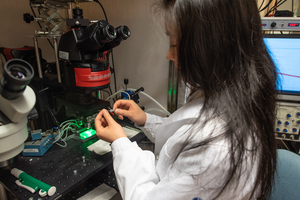 Study of  the effects of mutations on ion channels