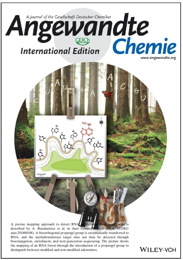 Cover Illustration