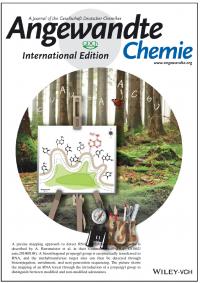 Cover Illustration