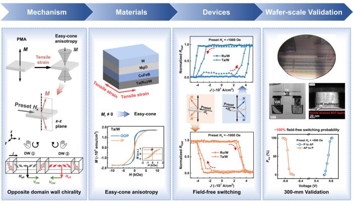 Deterministic Field-Free SOT Switching via Controlled Domain Wall Chirality in Easy-Cone anisotropy