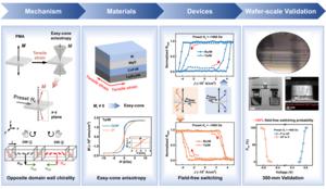 Deterministic Field-Free SOT Switching via Controlled Domain Wall Chirality in Easy-Cone anisotropy