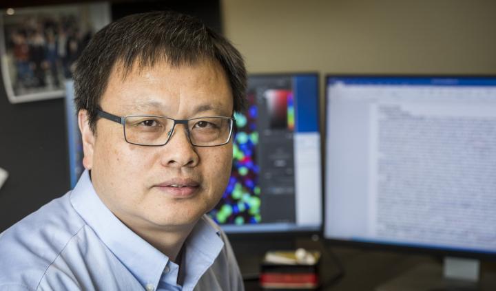 Gangjian Qin, University of Alabama at Birmingham