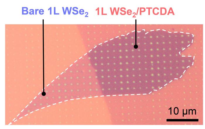 Coated semiconductor