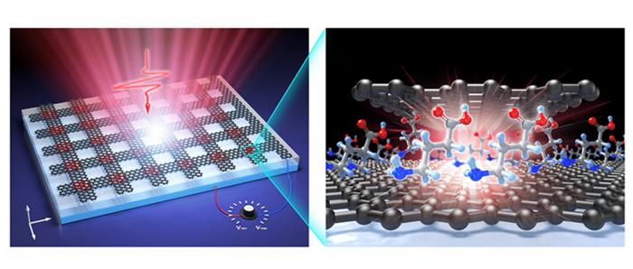 Schematic of the Twisted Bilayer Graphene Nano-Cavity
