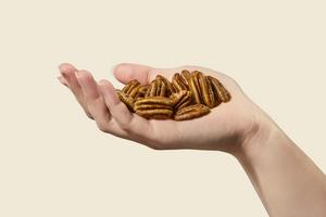 New Findings Highlight Two Decades of Evidence Supporting Pecans in Heart-Healthy Diets