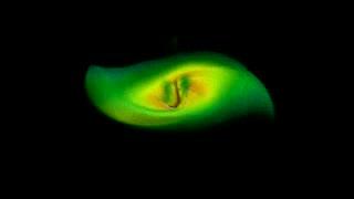 Merging Black Holes