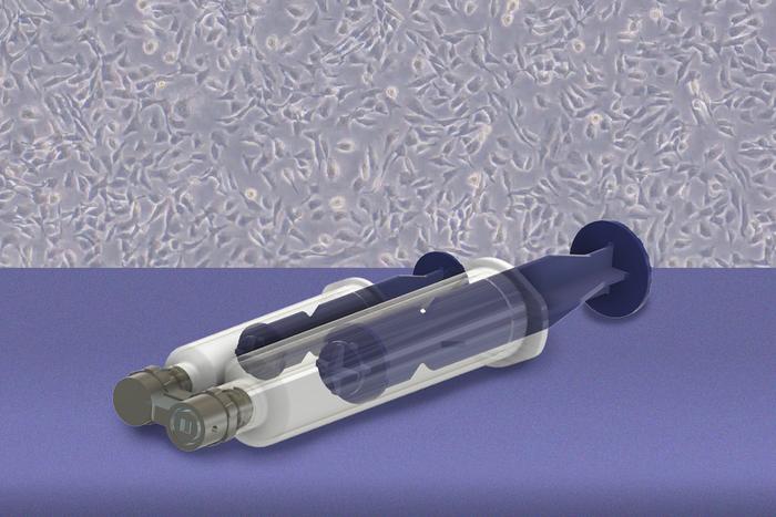 Ovarian cancer detection