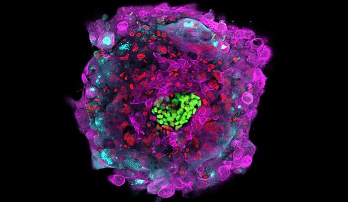 First Molecular Glimpse