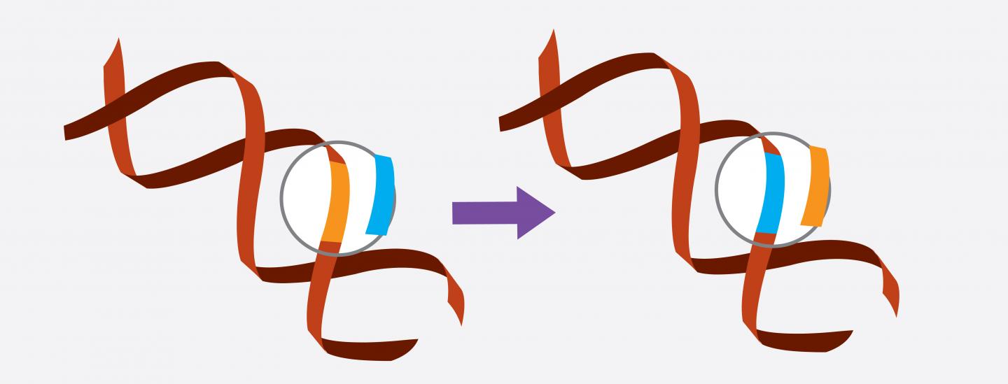Gene Editing Illustration