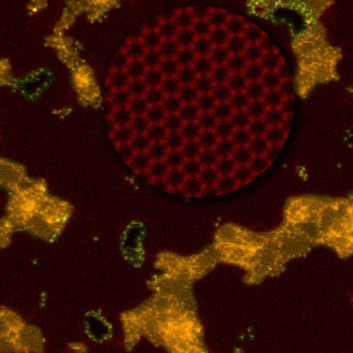 Nanospores